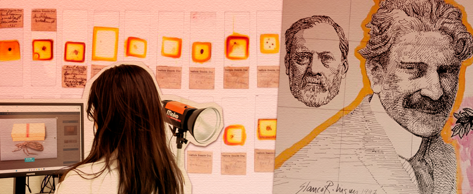 Acervo do Museu da Vida Fiocruz ganha plataforma on-line