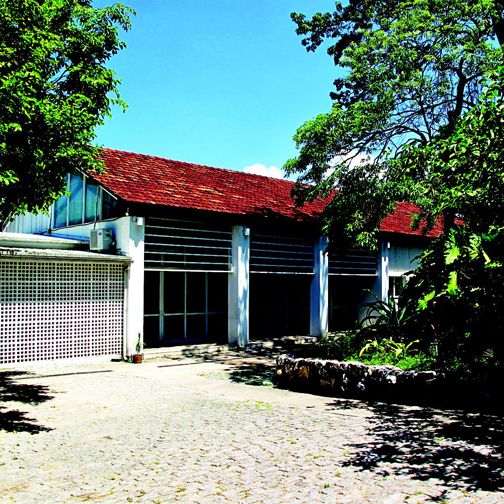 Peças do acervo do Museu da Vida ganham destaque na Internet