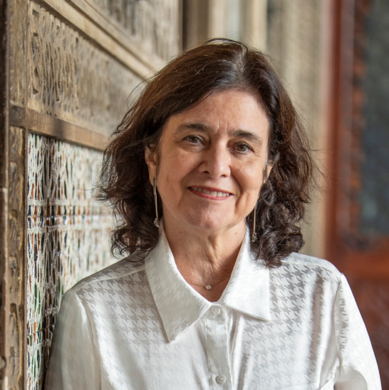 Imagem de perfil do pesquisador Nísia Trindade Lima