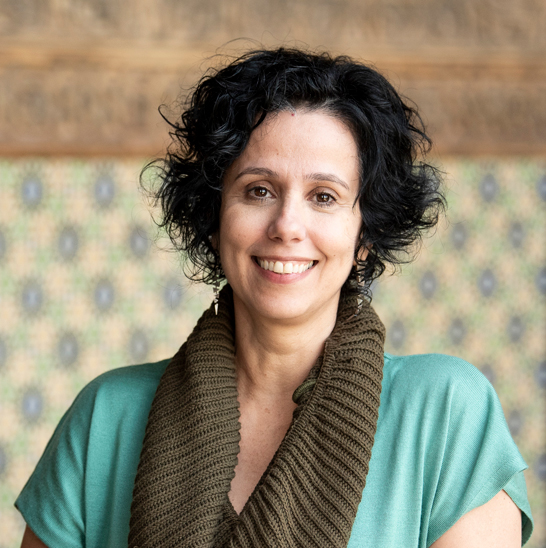 Imagem de perfil do pesquisador Dominichi Miranda de Sá