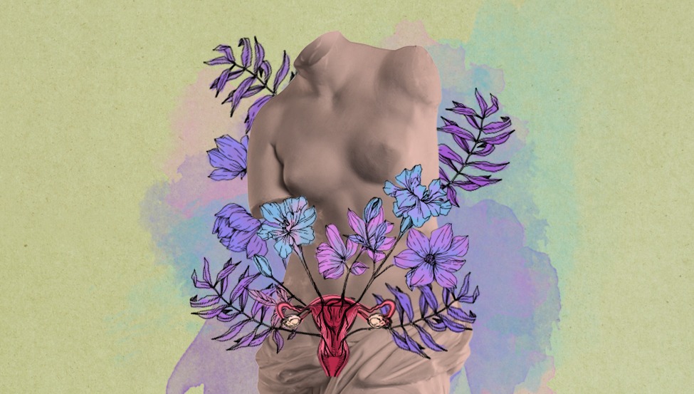 imagem de Política de combate ao câncer do colo do útero fortaleceu uso de recursos públicos para a medicina privada nos anos 1970