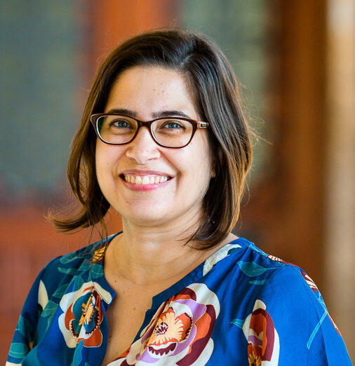 Imagem de perfil do pesquisador Inês El-Jaick Andrade