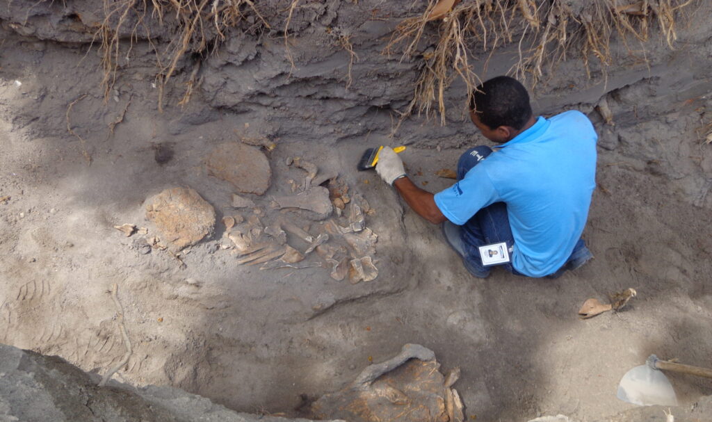Descobertas arqueológicas