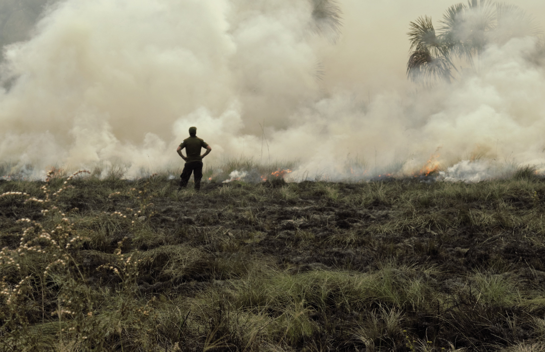 Cerrado é tema de nova edição do minicurso História e Antropoceno