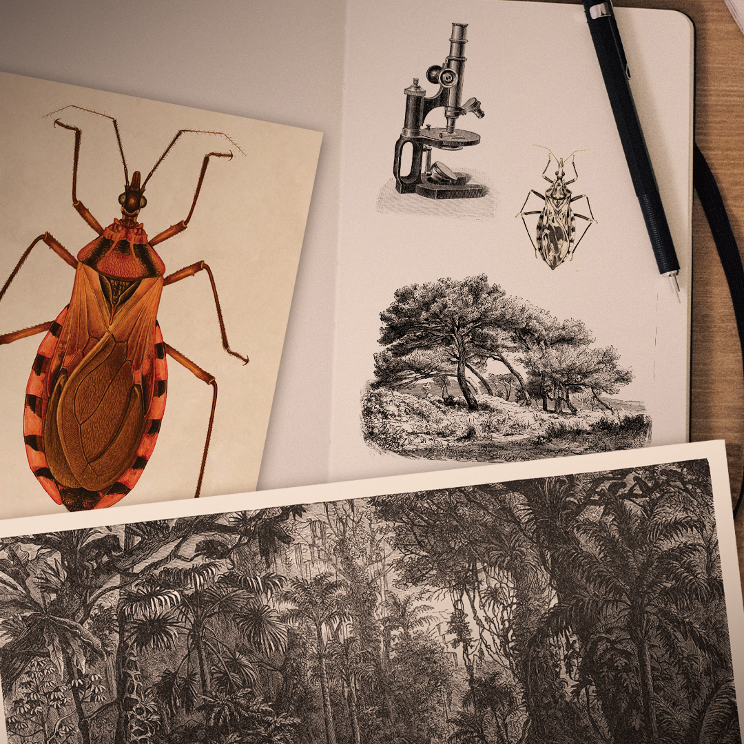 Pesquisadores apresentarão estudos sobre leishmanioses e doença de Chagas na Colômbia