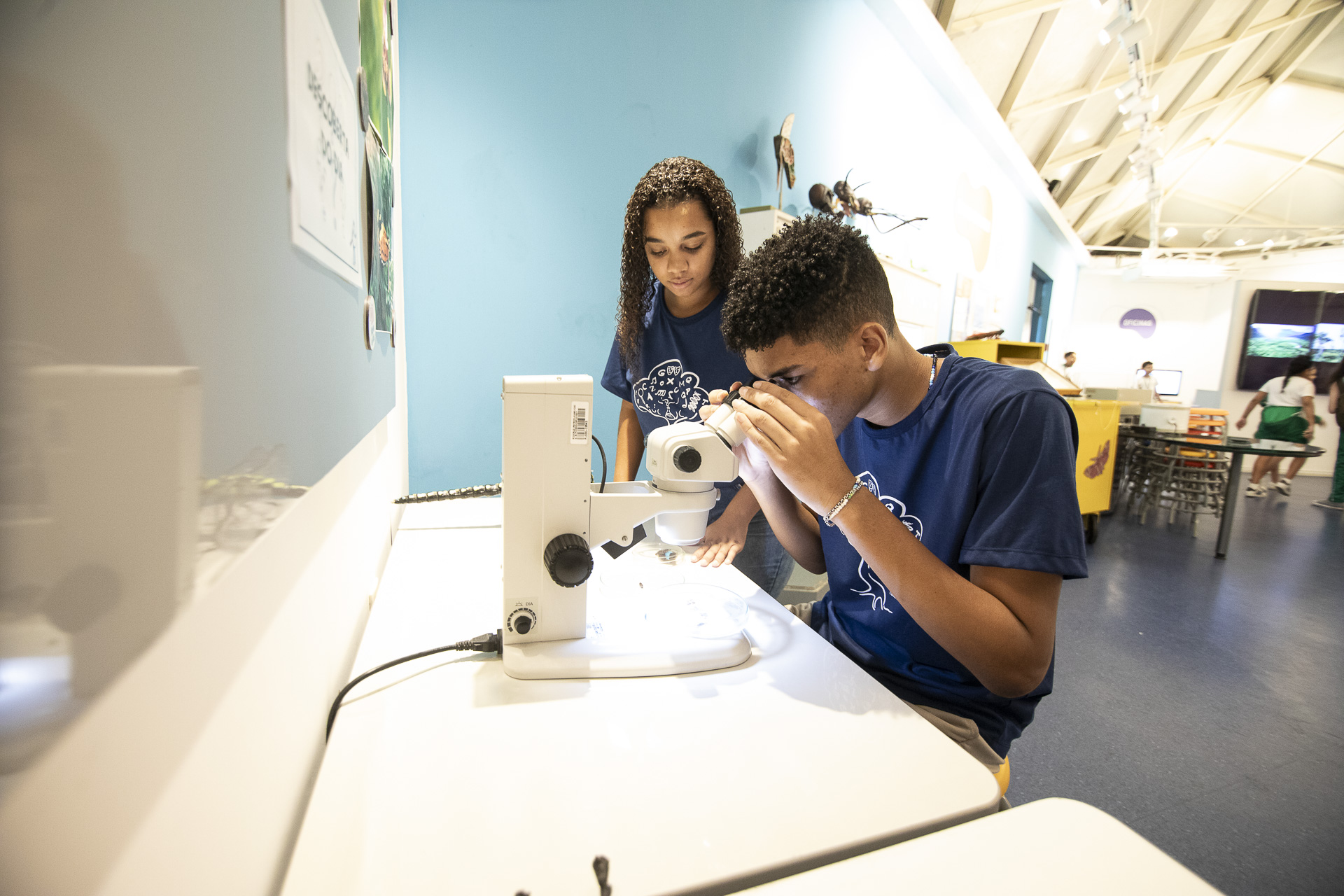 imagem de Pró-Cultural oferece formação gratuita e bolsa auxílio para jovens