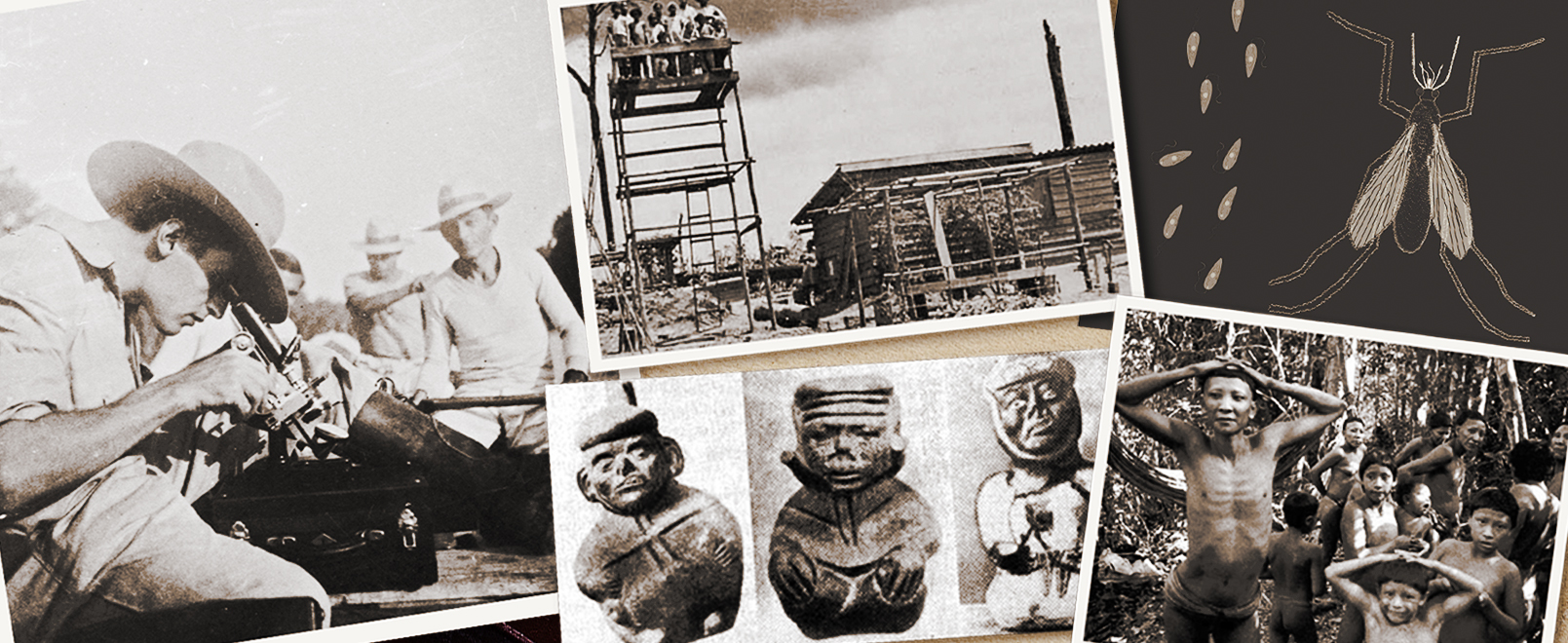 imagem de Curso promove diálogo sobre ciência, saúde e ambiente na América Latina