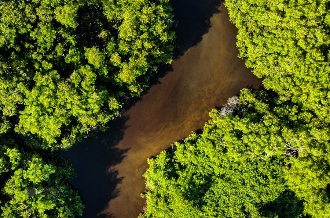 Casa promove debate sobre patrimônio cultural e crise climática na COP30